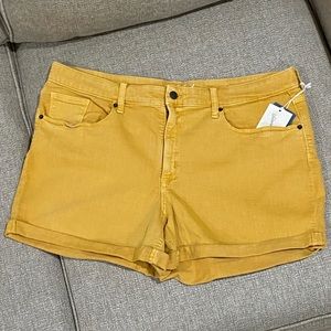 Mustard Yellow Midi Shorts